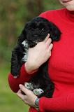 ADULTE ET CHIEN 265